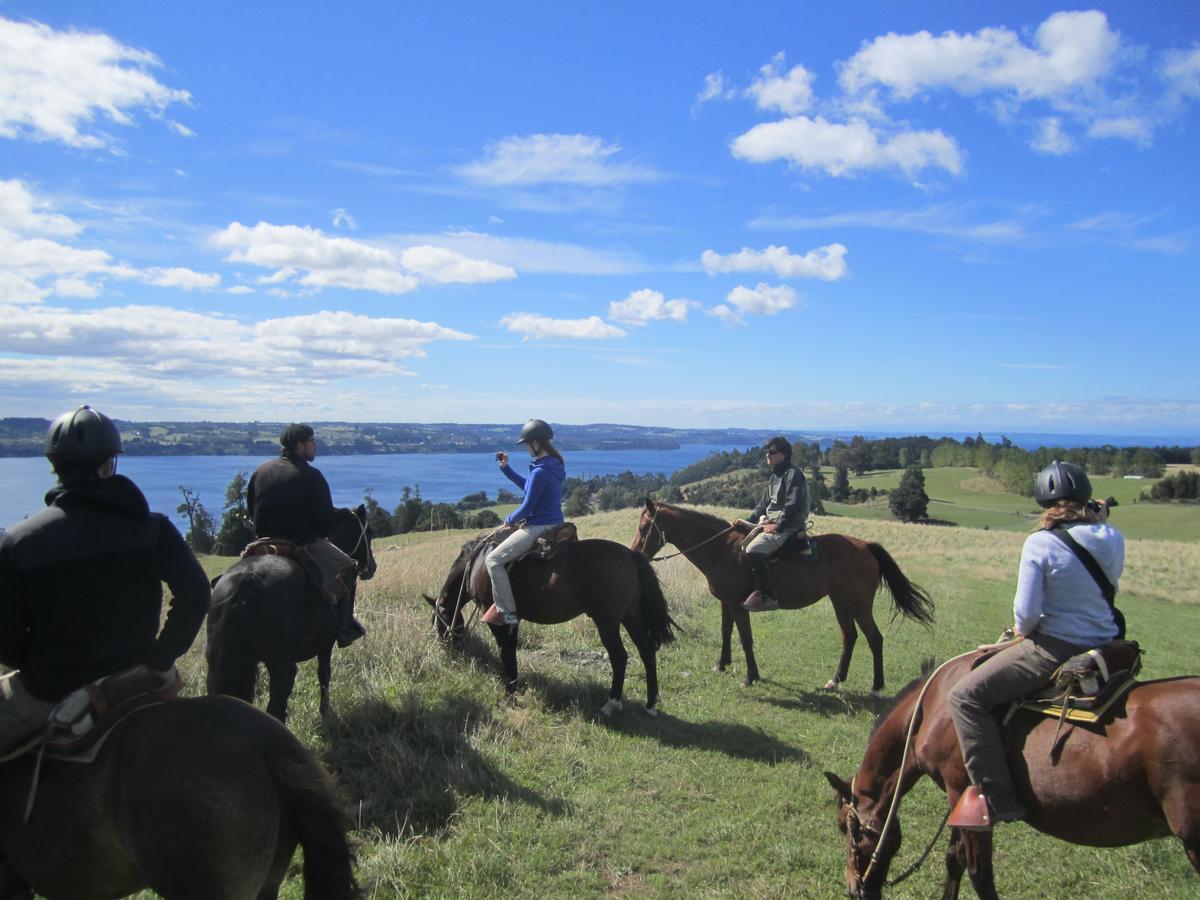 Hostal Compass Del Sur Puerto Varas Ngoại thất bức ảnh